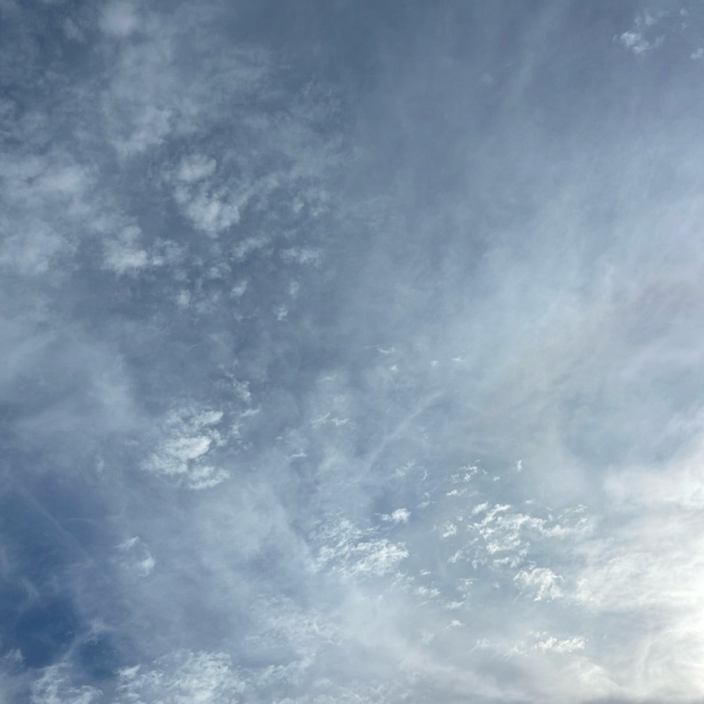 Meet your Posher, Marle